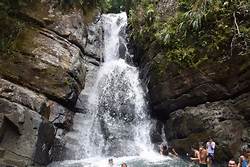 el Yunque Rain Foerest