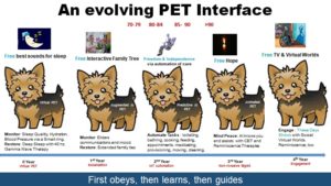 Evolving AI PET